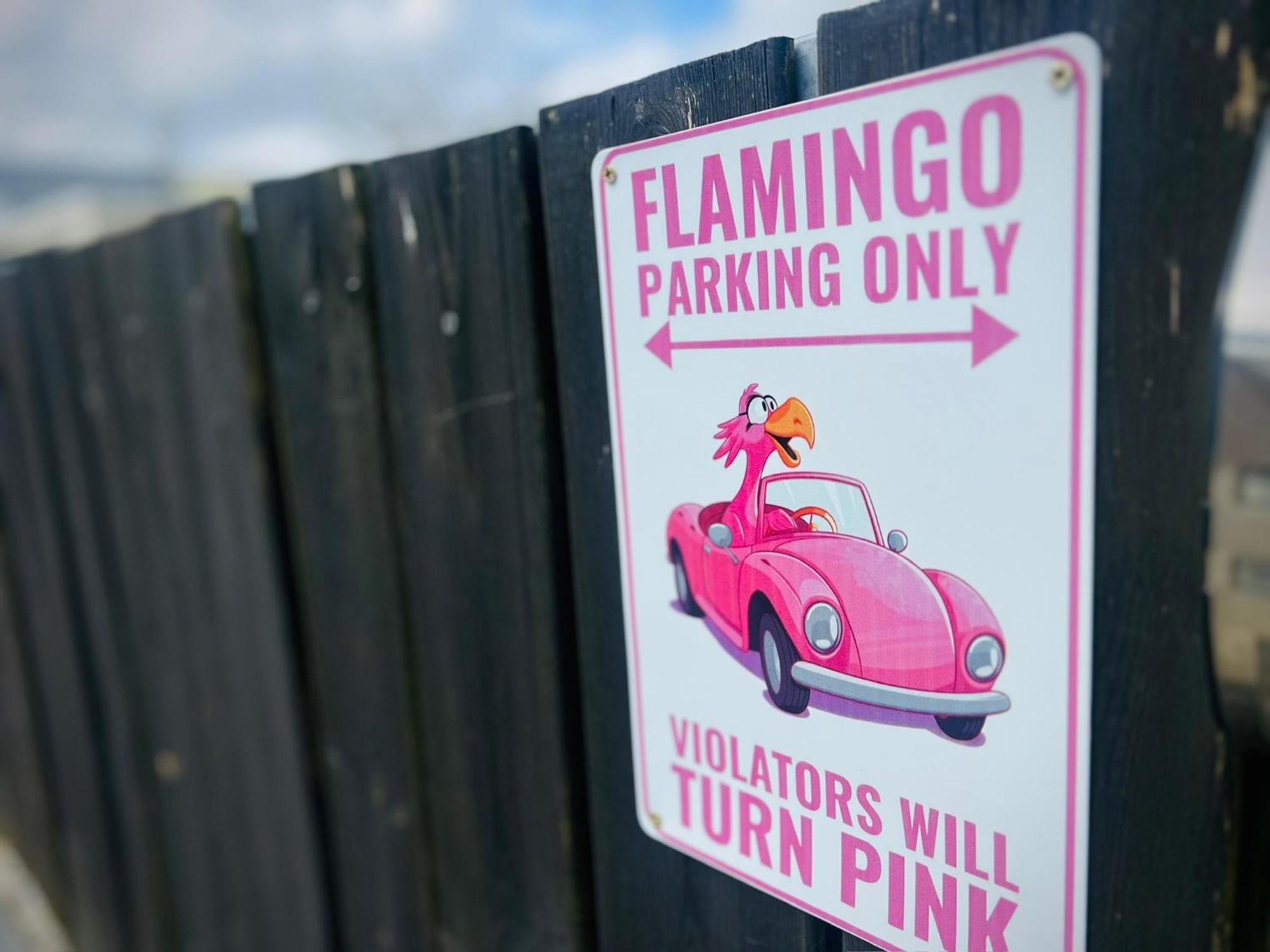 Flamingo Studio'S Zeeland Schoondijke Exterior photo